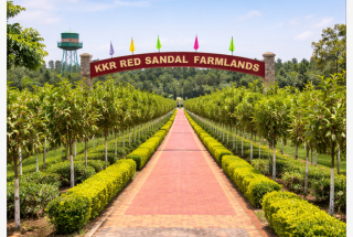 redsandalfarmlands